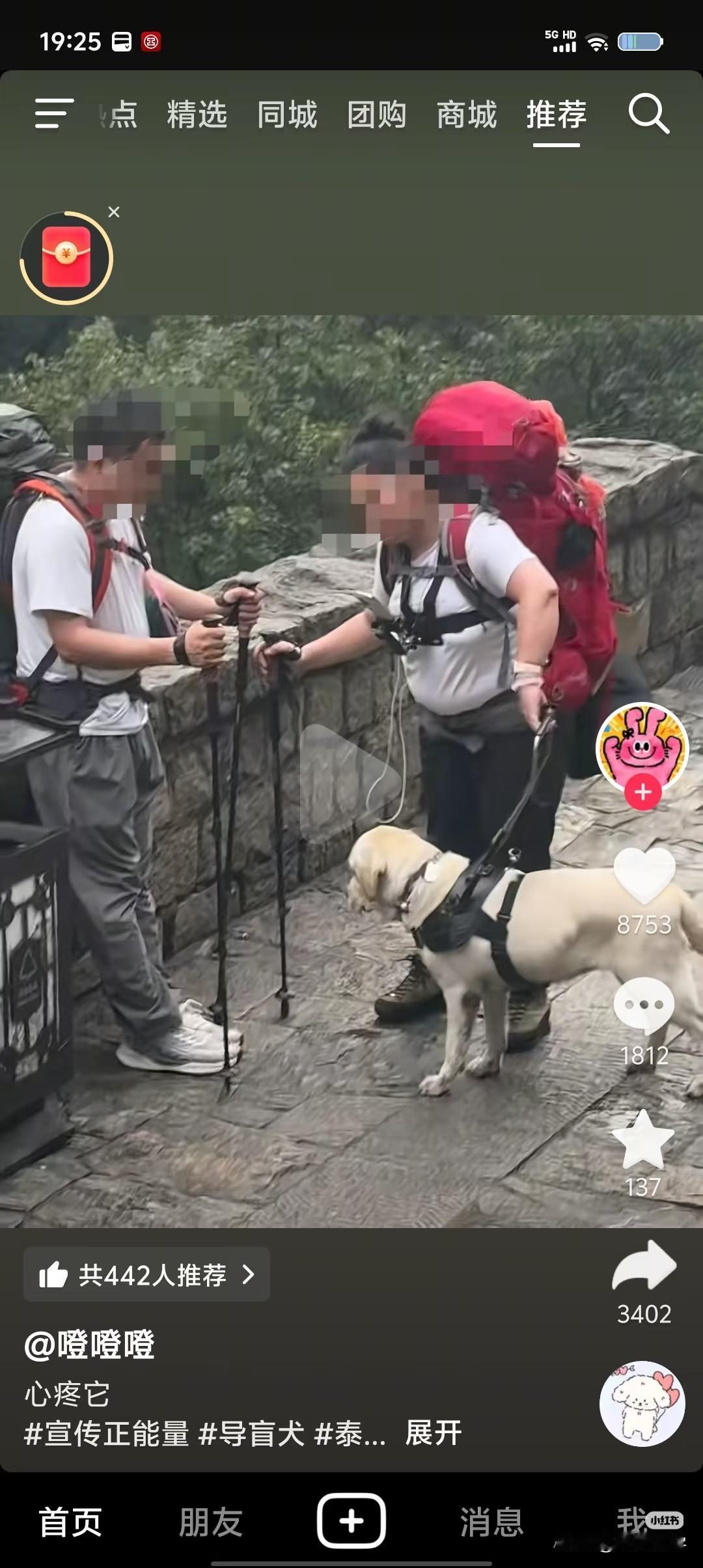 刷到盲人带导盲犬爬泰山的新闻，我既佩服又心疼：生而为人，别让“勇气”凉了忠诚的心