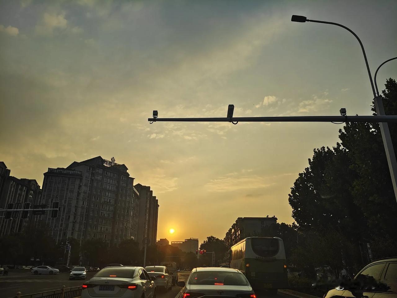 #随手记录秋日生活#秋风无情，吹落叶飘满地。一年一度的国庆佳节来了，短暂的小长假