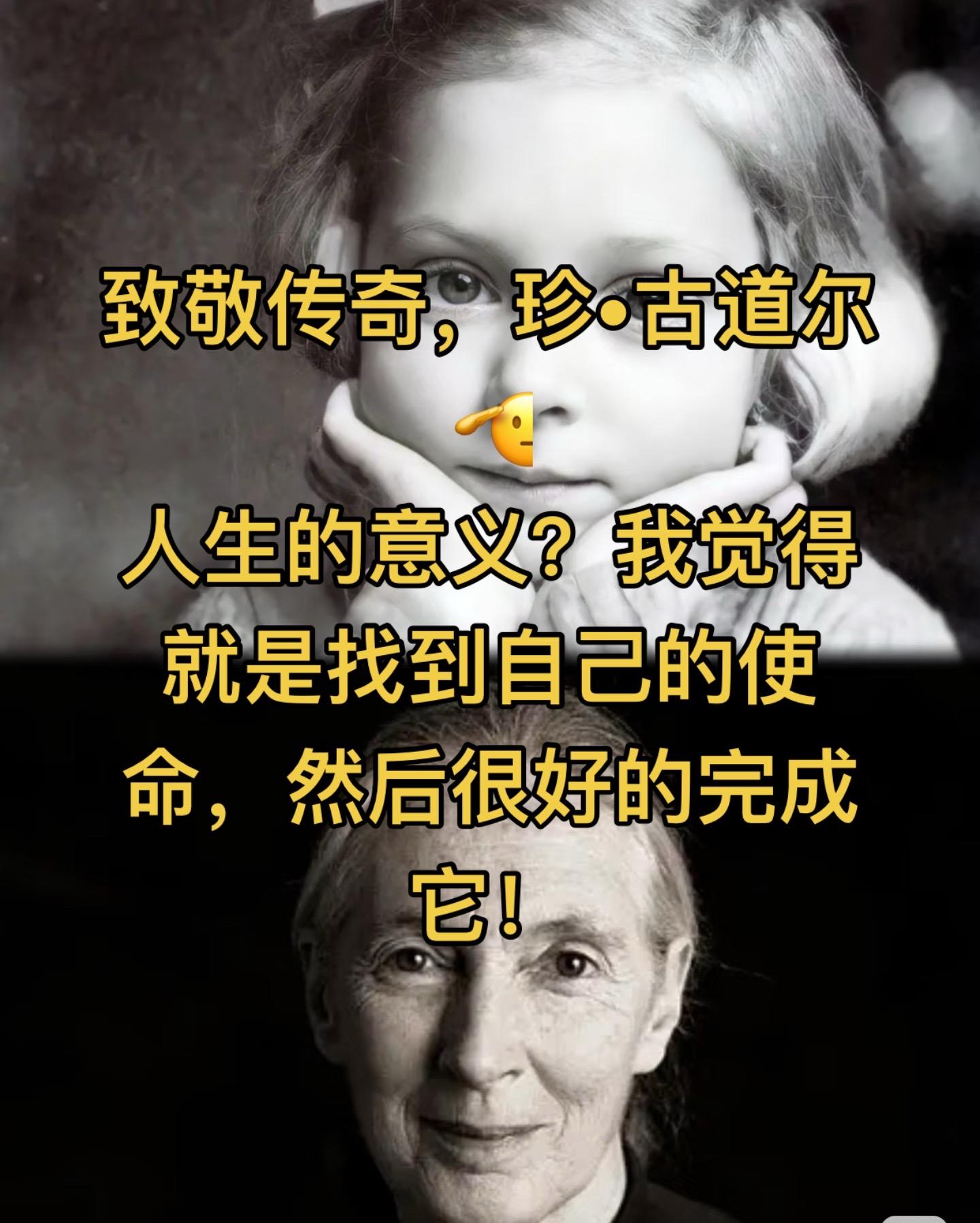 致敬传奇，珍•古道尔🫡人生的意义？我觉得就是找到自己的使命，然后很好...
