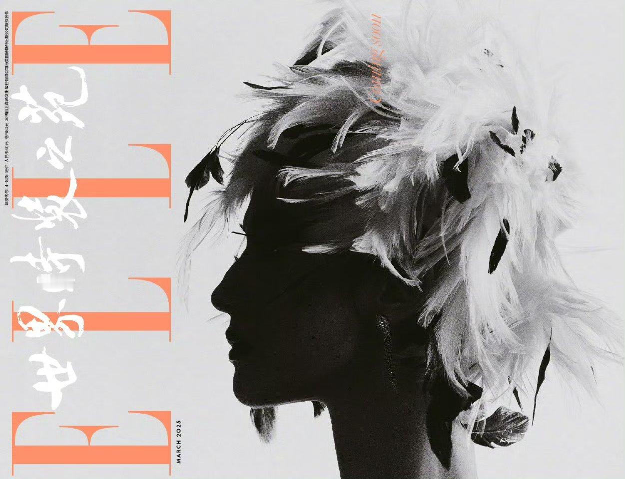 刘亦菲羽毛头 刘亦菲尝试羽毛头，侧颜剪影谁说不是雕塑女神呢 