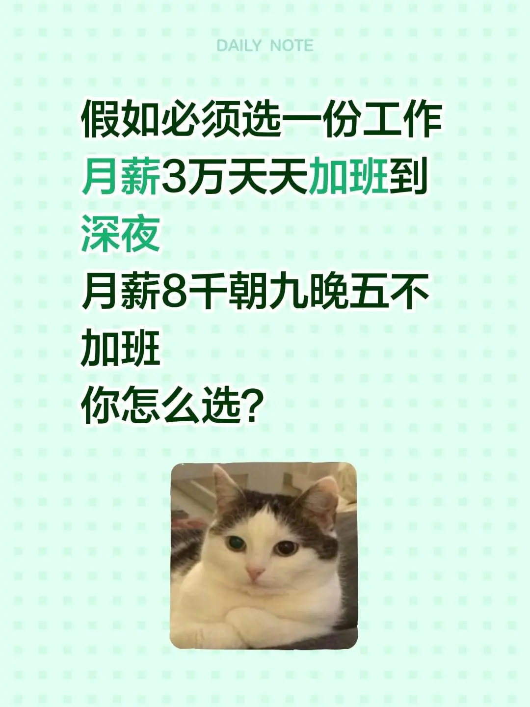 你怎么选？假如必须选一份工作