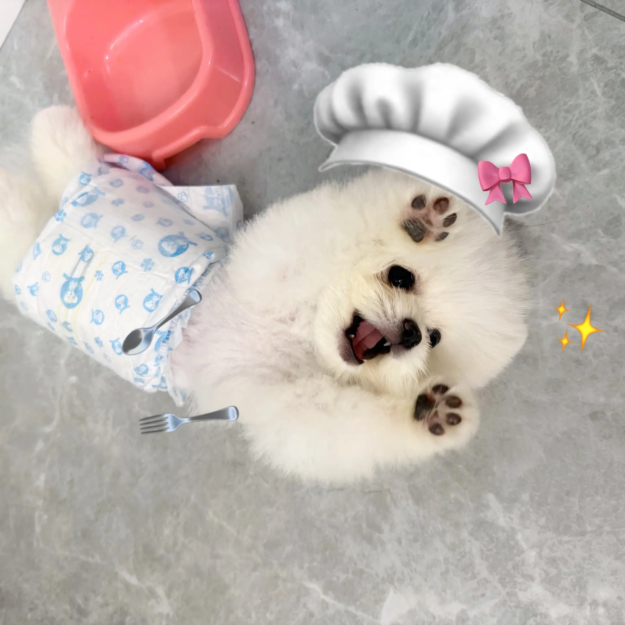 我可以问出那个问题吗