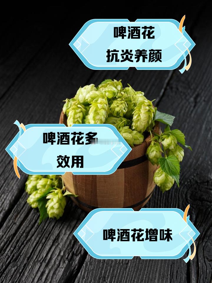 行业公司研究顶级股权企业家 啤酒花的世界啤酒花的风味宇宙，核心是旧世界的优雅草本