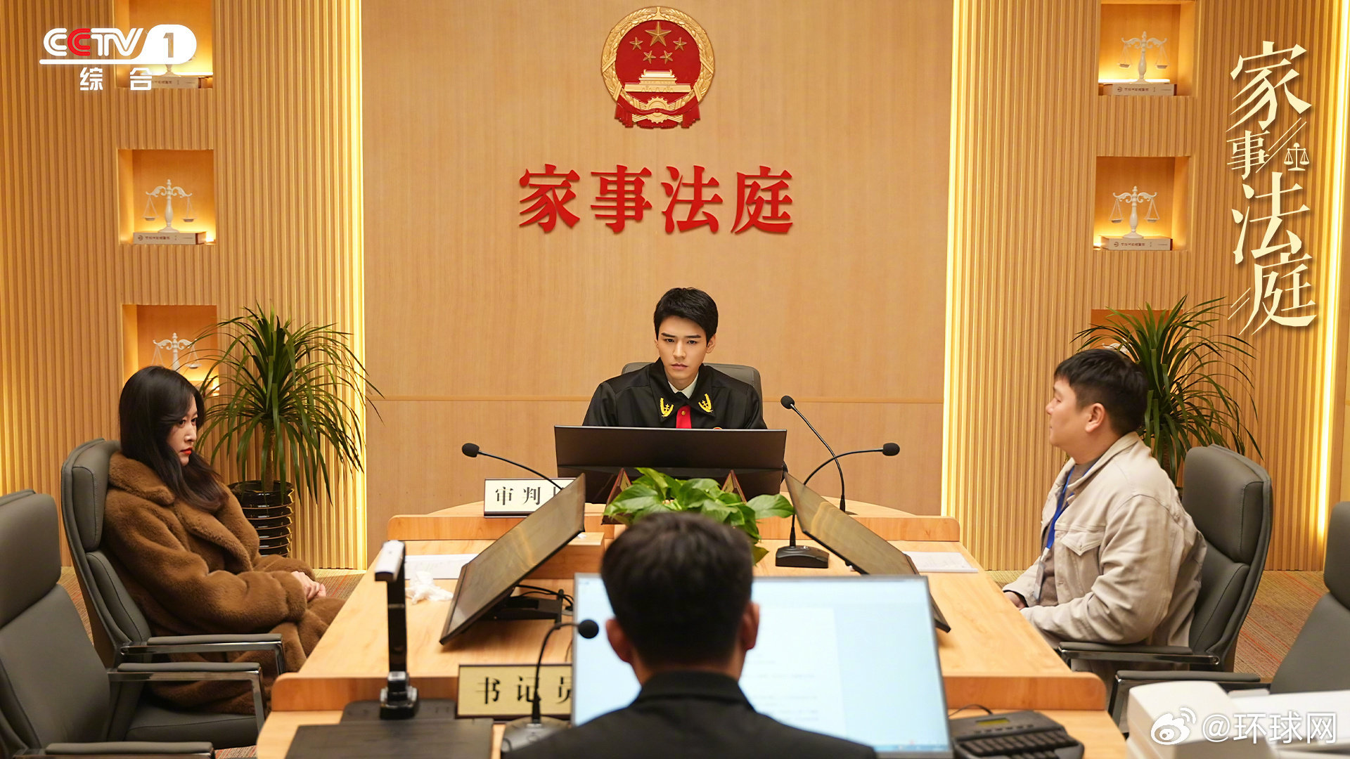 【#这些央视大剧里满满都是知识点#】#家事法庭追剧普法两不误#《家事法庭》正在C