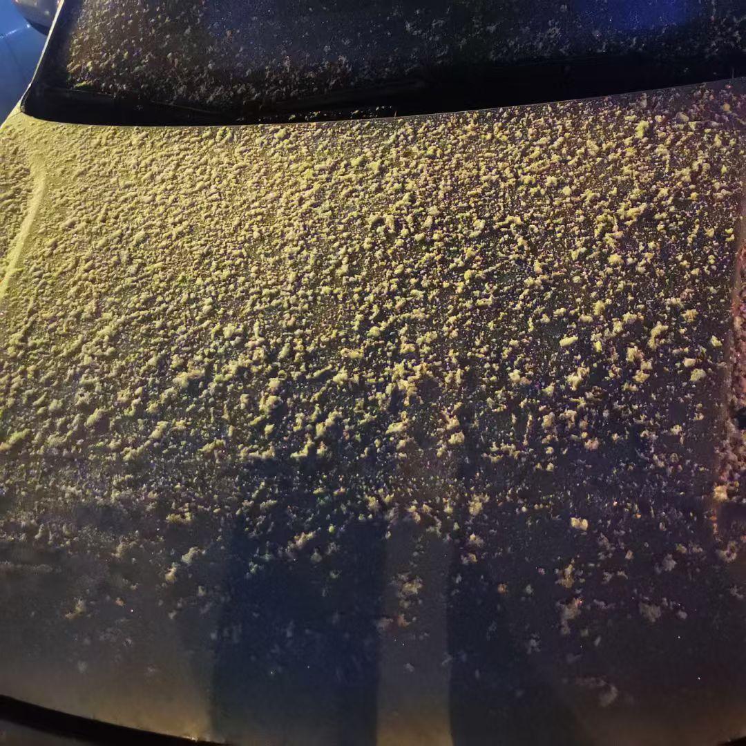 冬日生活打卡季