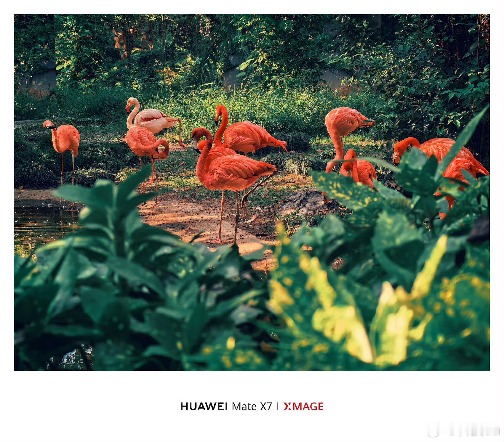 华为Mate X7拍的每一帧都是大片呀，还原真实色彩，整体成像相当不错。国家地理