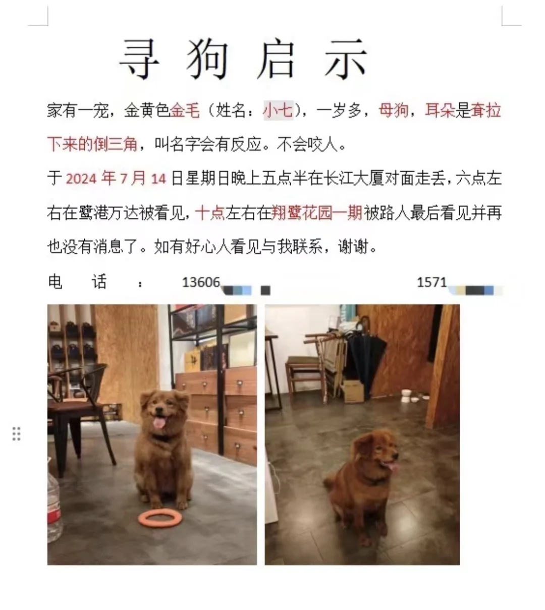 厦门寻狗！！！