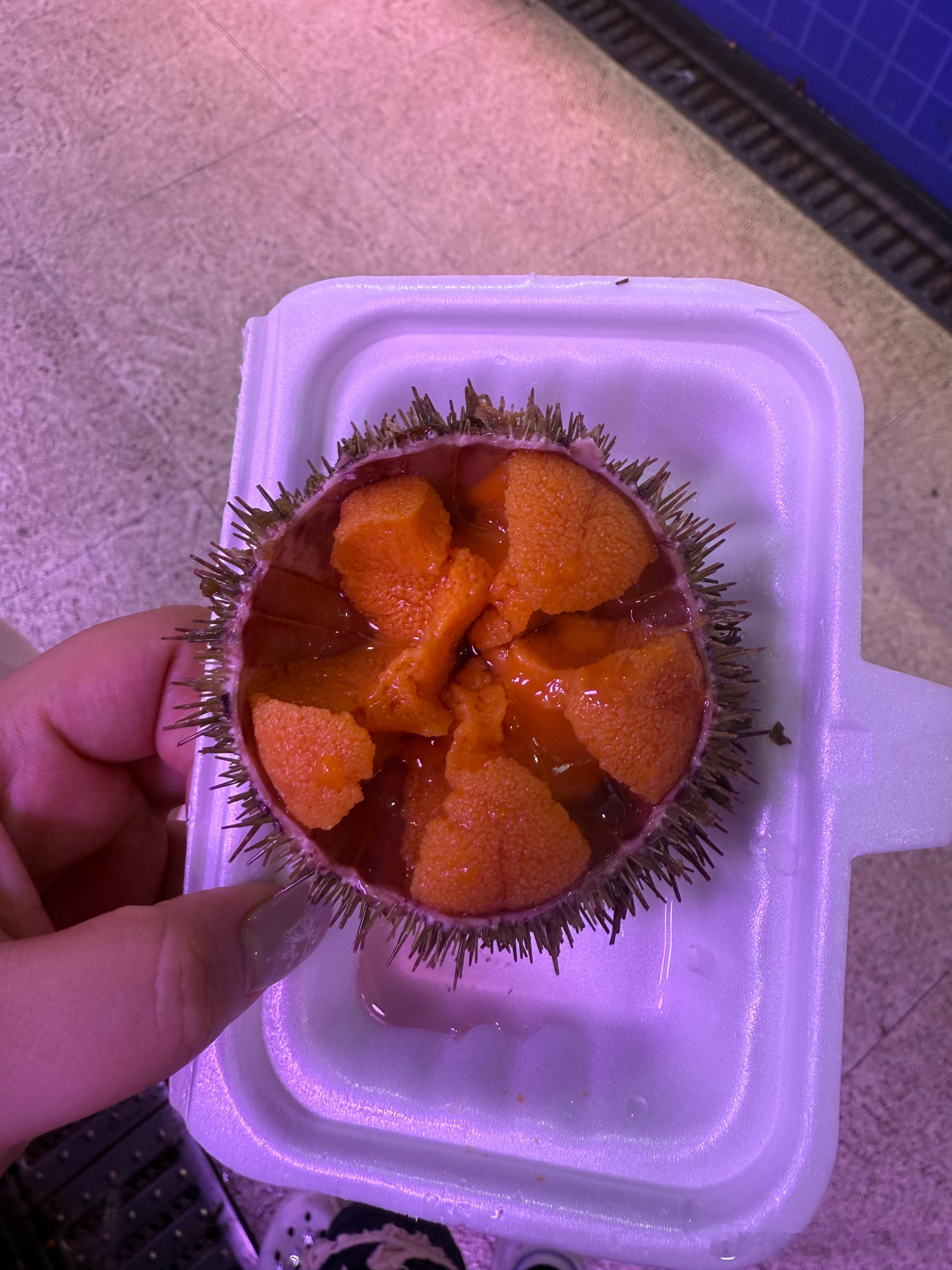 今天吃六个海胆了 真的不能再吃了