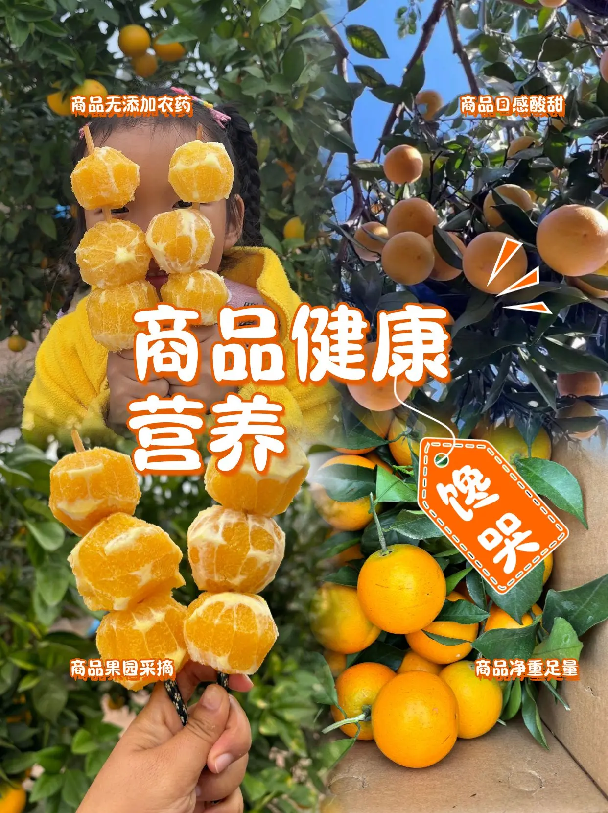湖南麻阳冰糖橙5/9斤