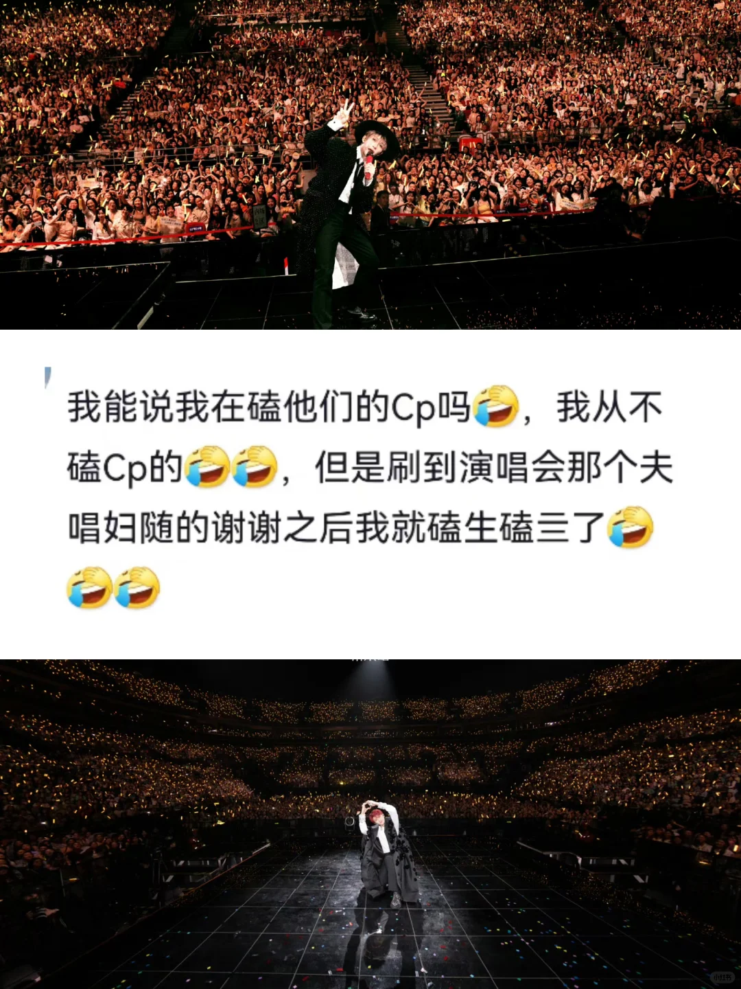 看到有人在磕檀炭CP，嗯，有品味眼光贼好