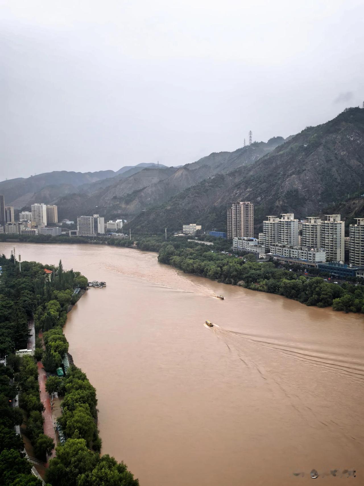 一夜甘霖送尽酷暑，清晨开窗，雨声、车流声交织成温柔晨曲。檐下雀鸟啼鸣不断，不知是
