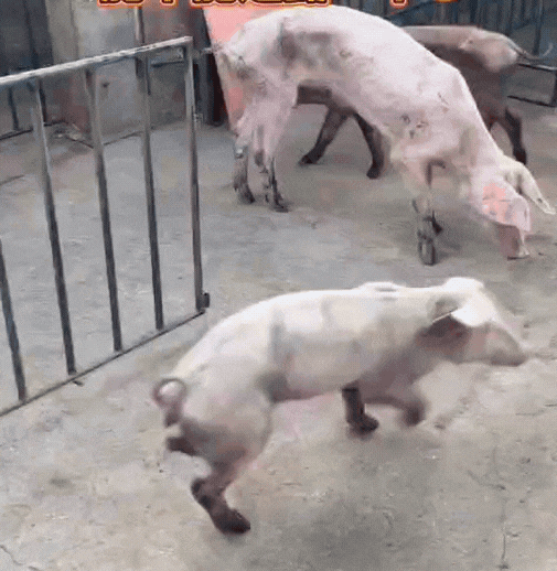 第一次创业，失败了！
你们是怎么创业成功的？
能不能透漏一下？[尬笑][尬笑][