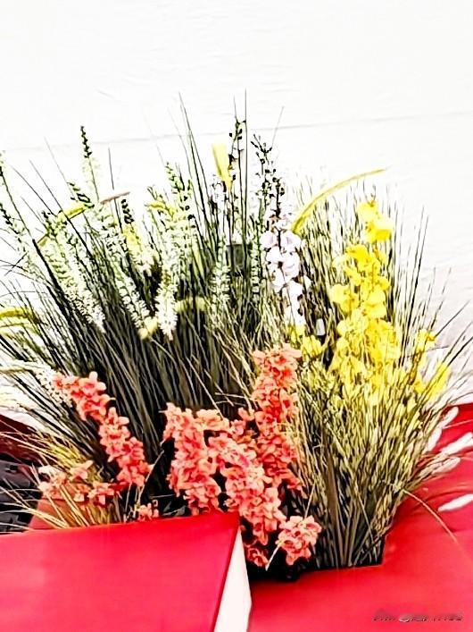 又给友们晒图喽！
因为头条喜欢拍摄。

我原本就喜欢花草，
现在加上一个更字。