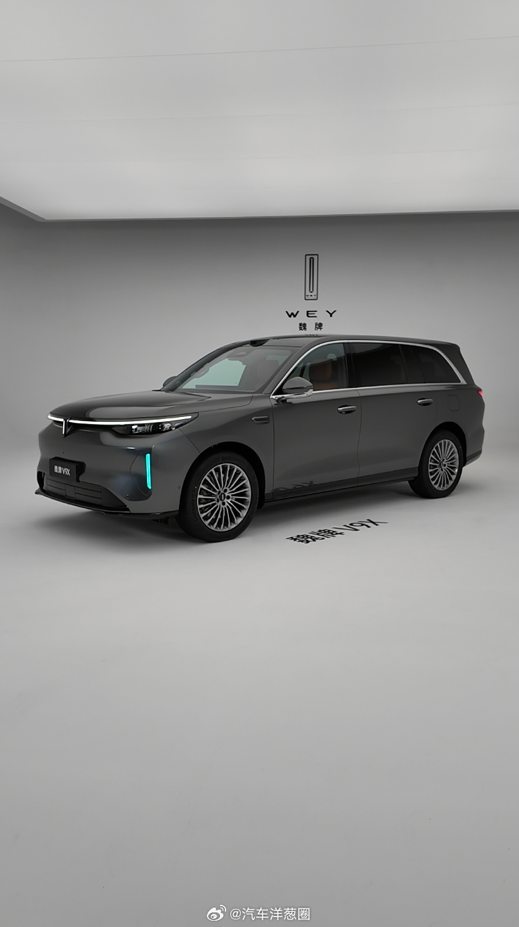 魏牌V9X有一个细节我觉得很好：主副驾都有隐私帘之前开车阳光晒脸，只能把遮阳板横