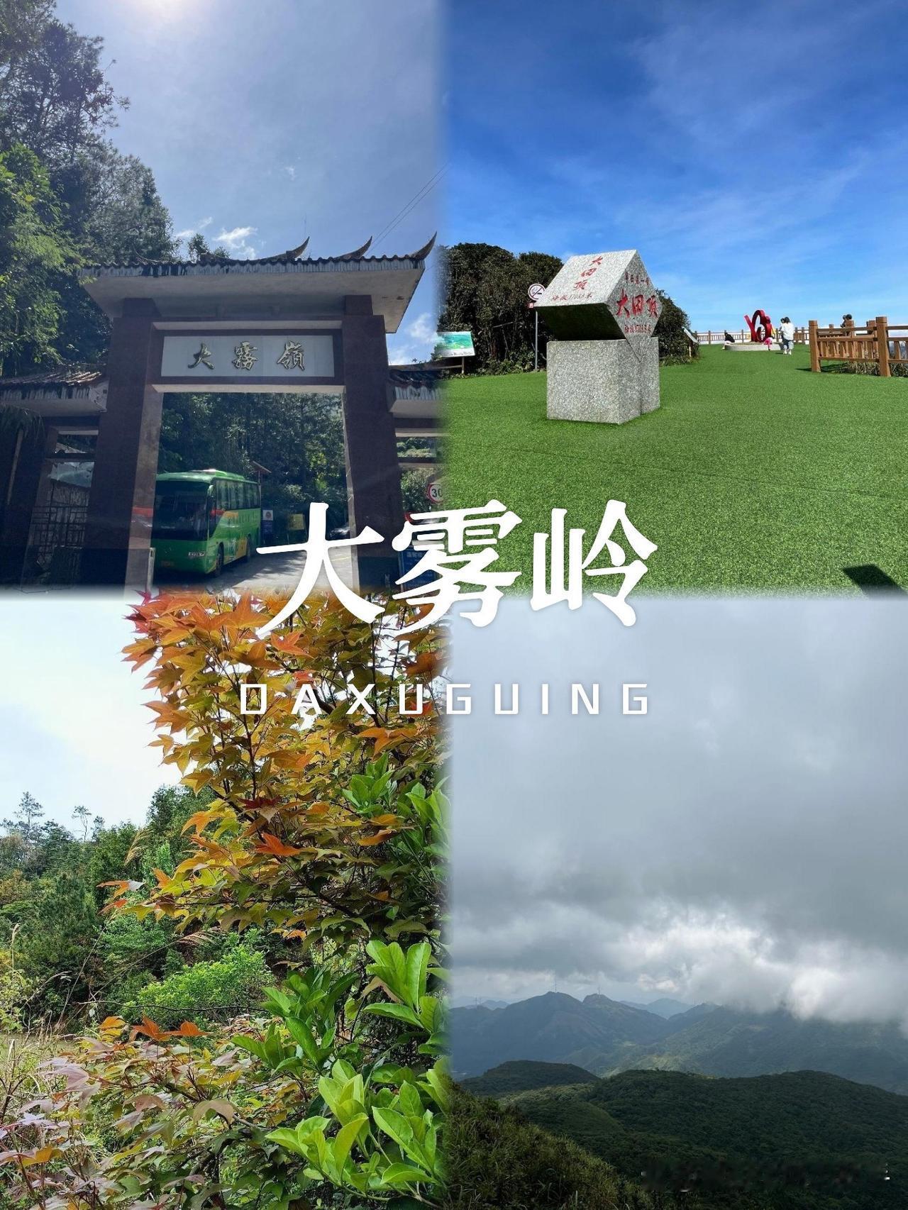 🌄大雾岭一日游保姆级攻略

姐妹们！分享一个私藏的治愈系徒步路线～全程不费腿还