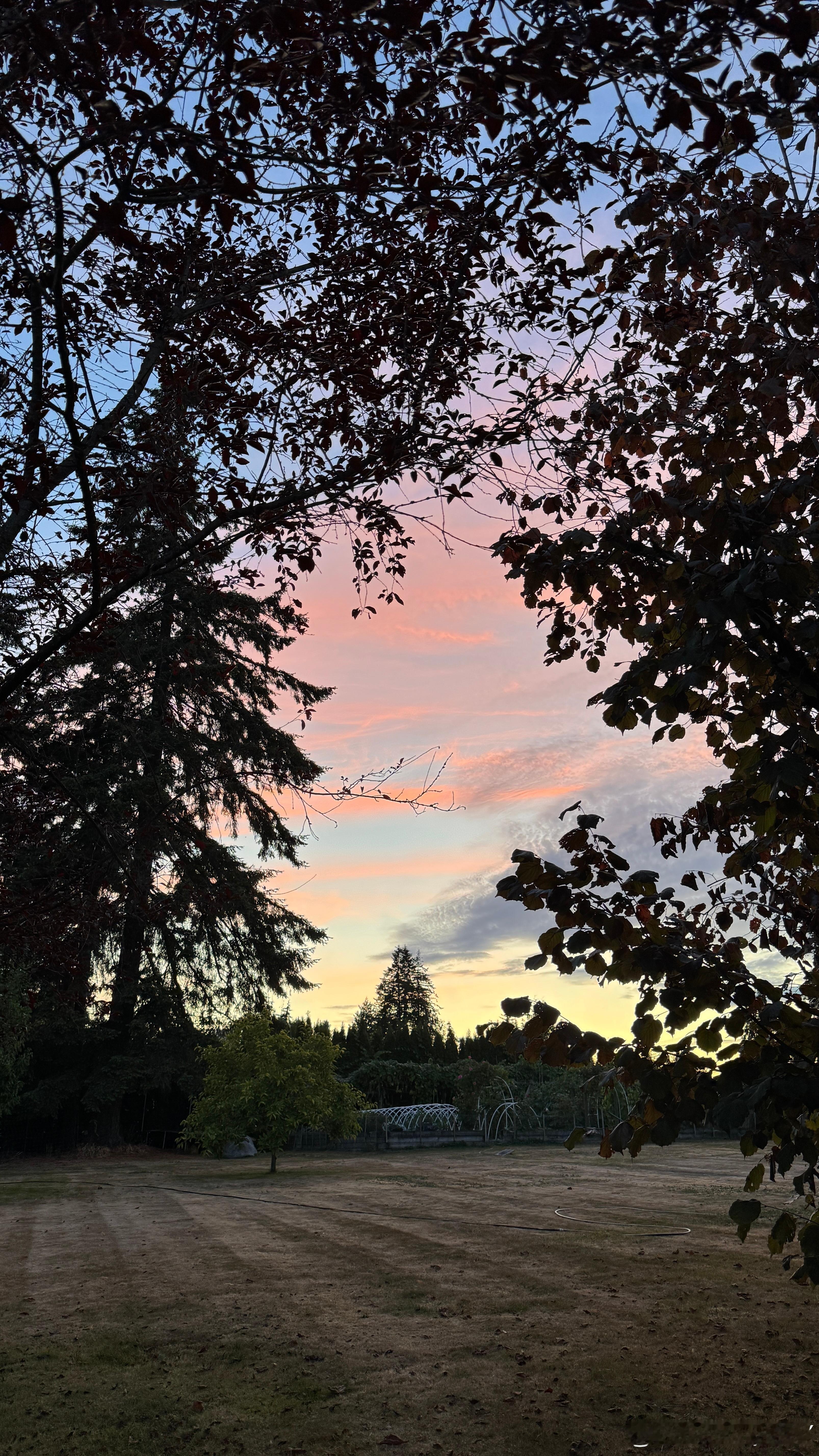 此刻。向晚时分。生活手记