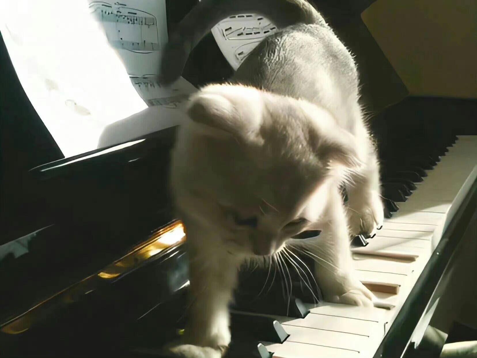 ˚₊‧꒰ა^>⸝⸝⸝⸝ 