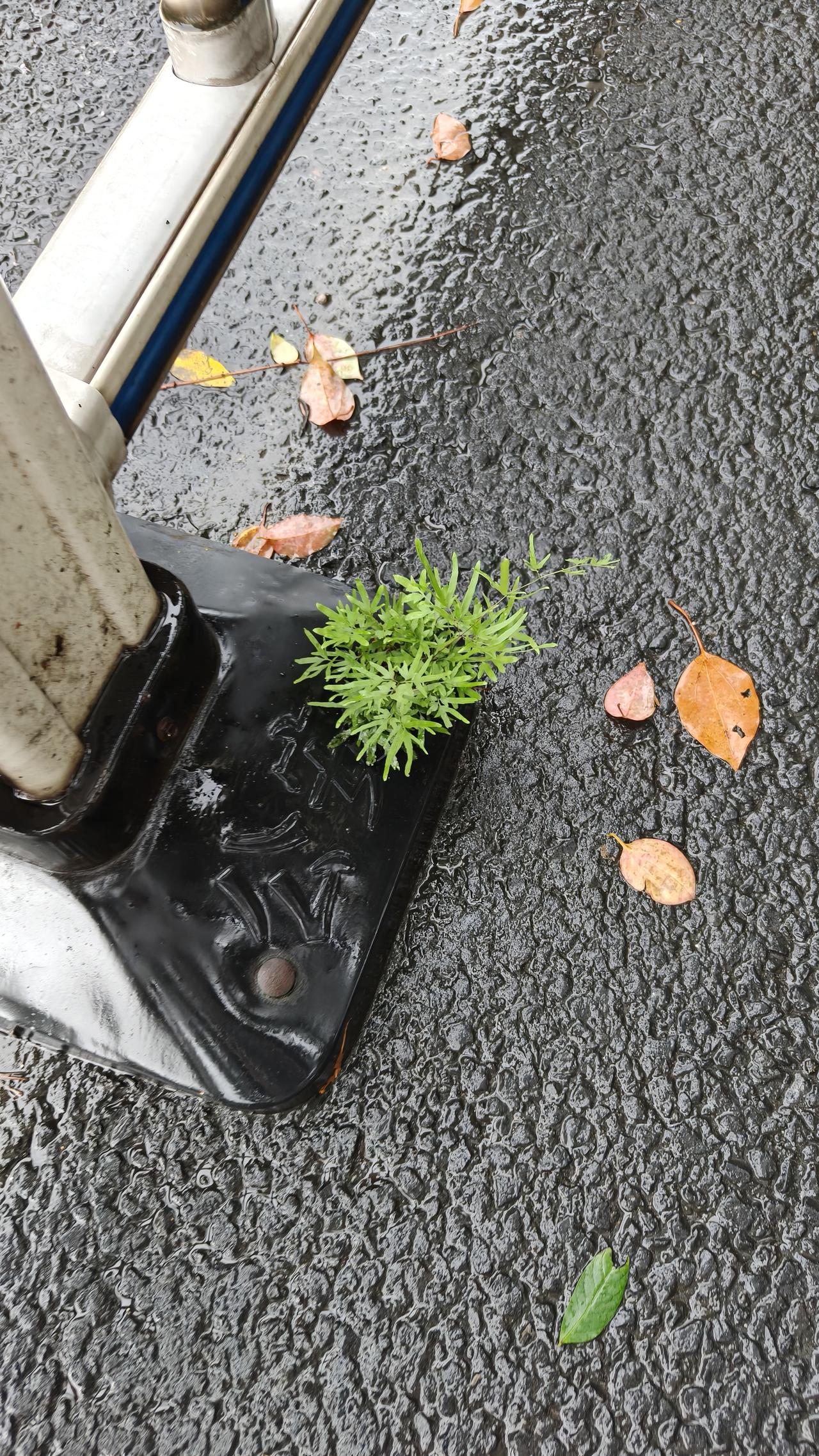 这是桩实打实的真事。一晃几十年过去，我始终在纠结该不该把这事说出来。早先我们医院