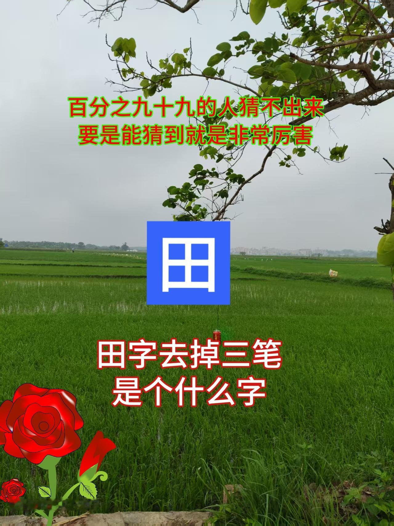 田字去掉三笔是什么字？猜猜看是什么字？万能的抖音 每天跟我涨知识 猜字谜