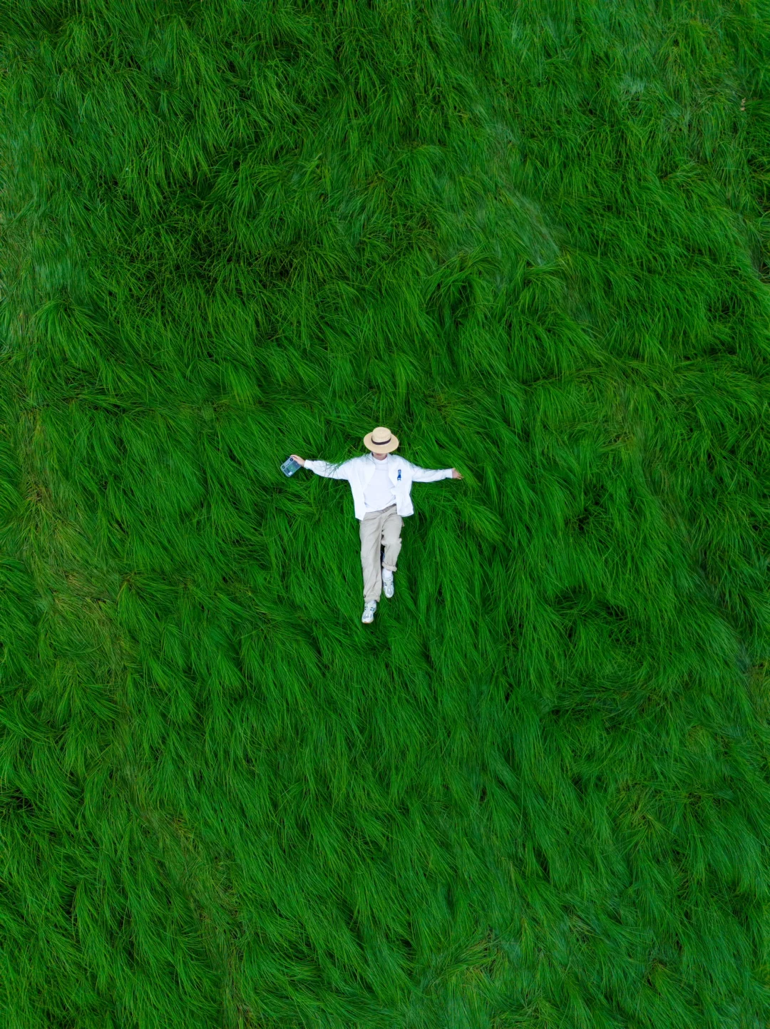 人生建议‼️一定要看一次鄱阳湖草海（附攻略）