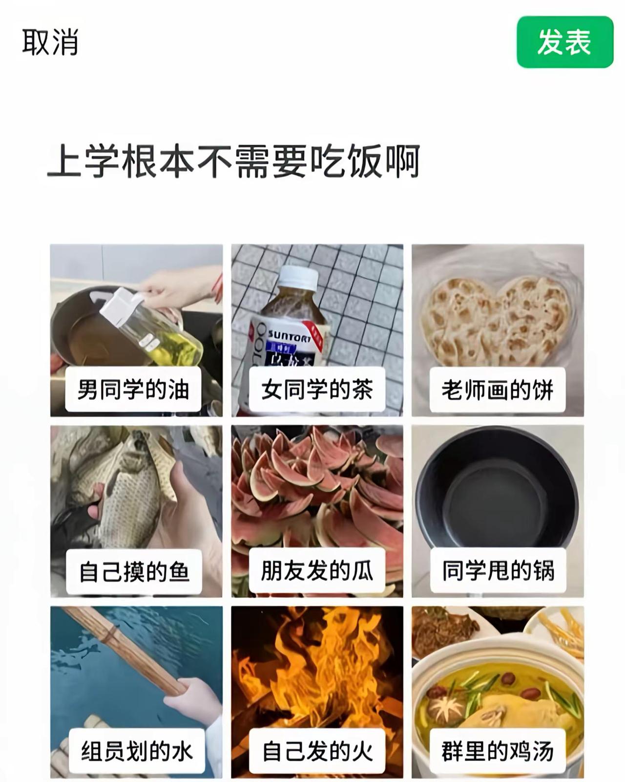 来自学校的投喂