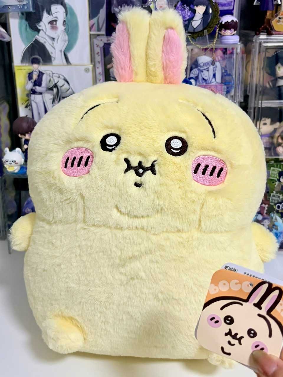 谁能懂从旗舰店扛回家此猪有多重 