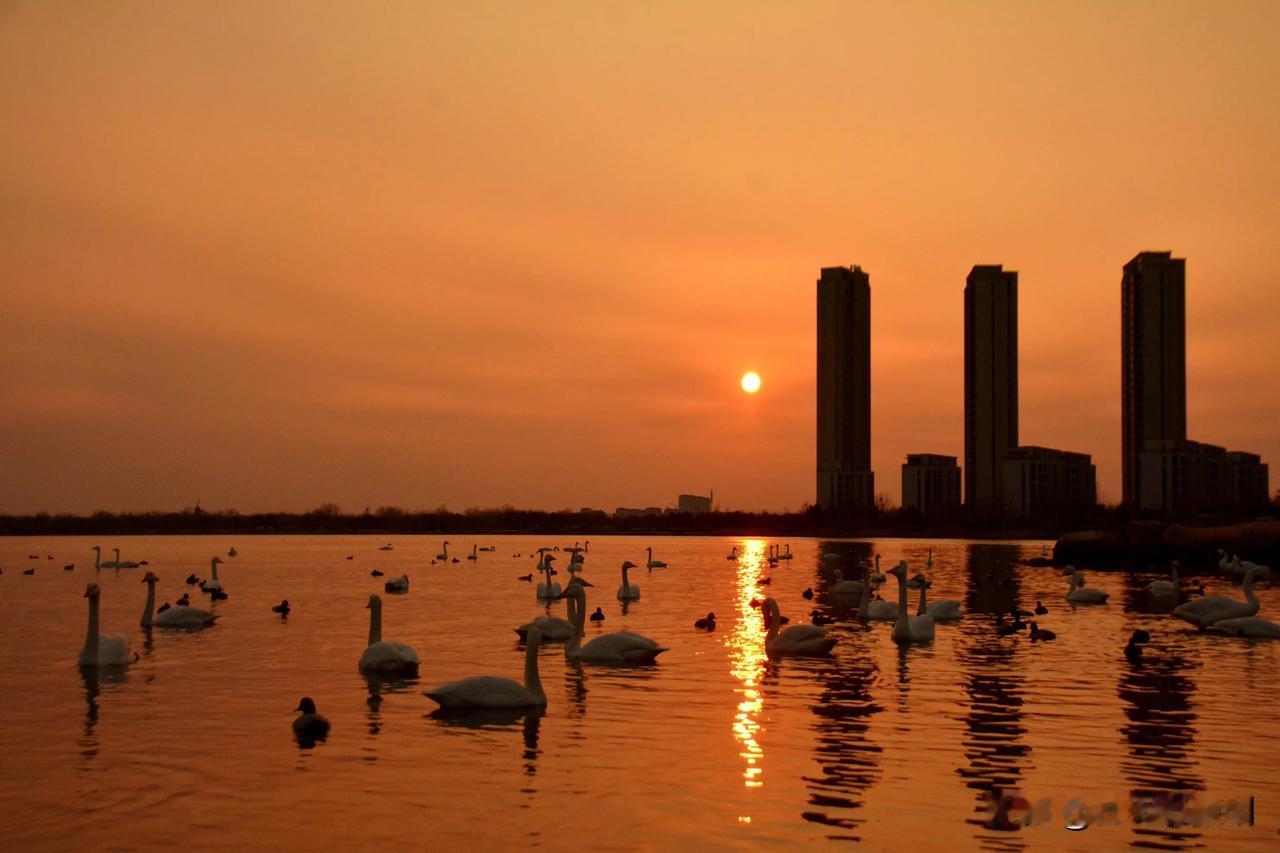 舞动🌇夕阳
随手拍一张夕阳西下的美景
随拍夕阳之美