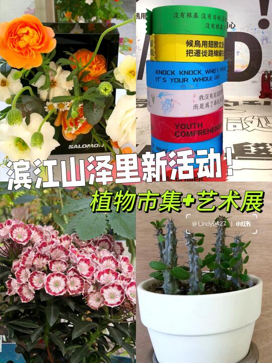 滨江山泽里新活动！植物市集+艺术展