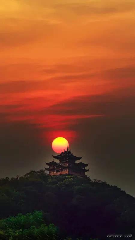 深秋登高
六十年方气喘微，登高健步竟如飞。
低头矮灌披金网，露骨高枫脱赤衣。
雁