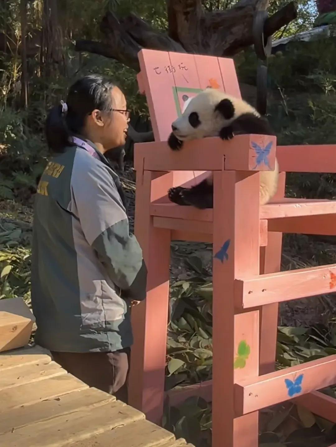 妹猪今天洋盘了哟，
半岁生日喜提豪车，还出单曲啦！[比心]

妹猪的专属BGM《