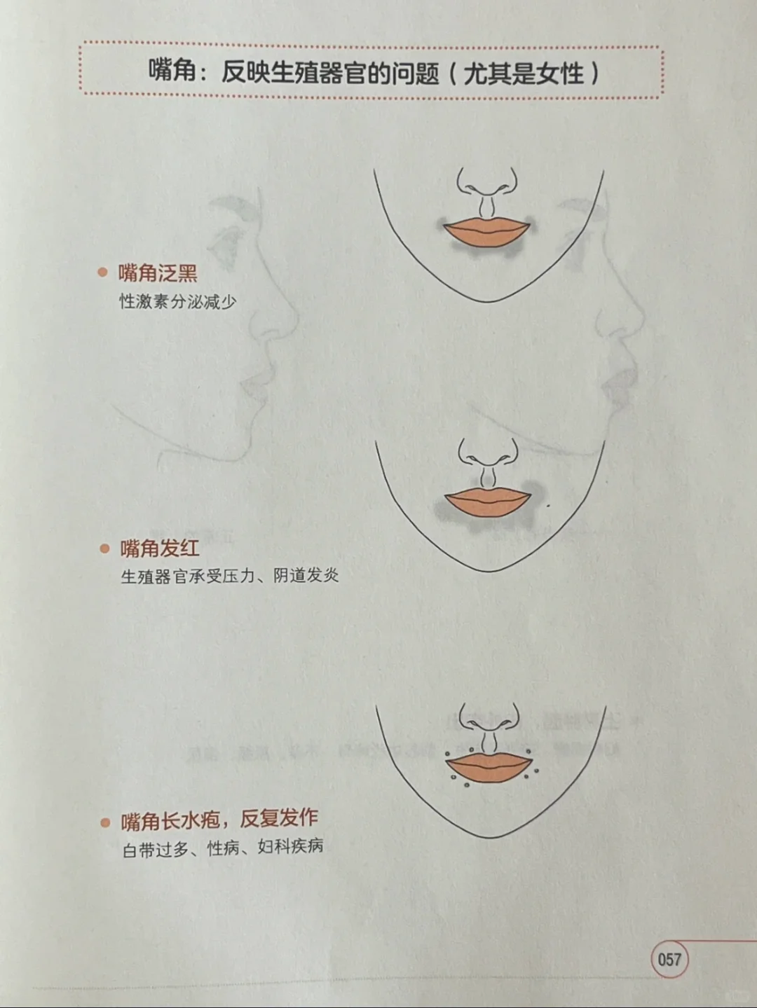 嘴角：反应生殖器官问题