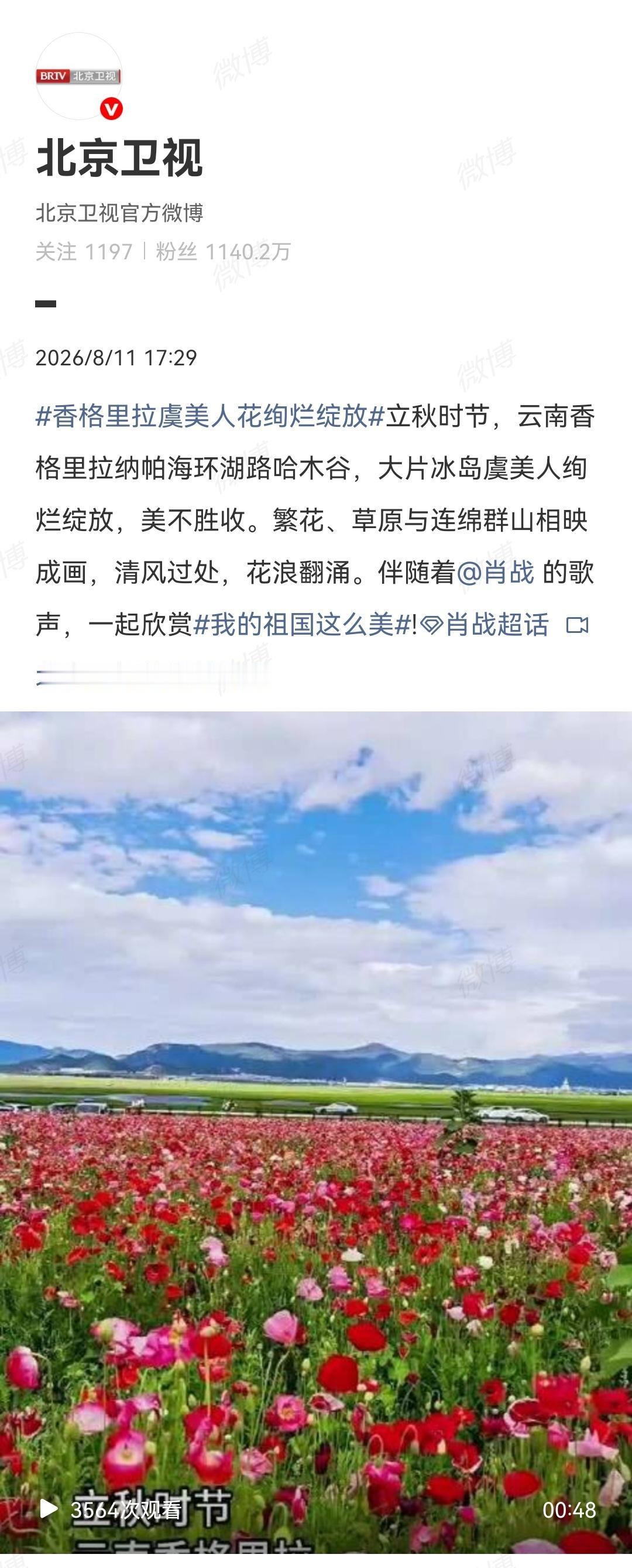 8月11日，北京卫视发了肖战的歌[机智]