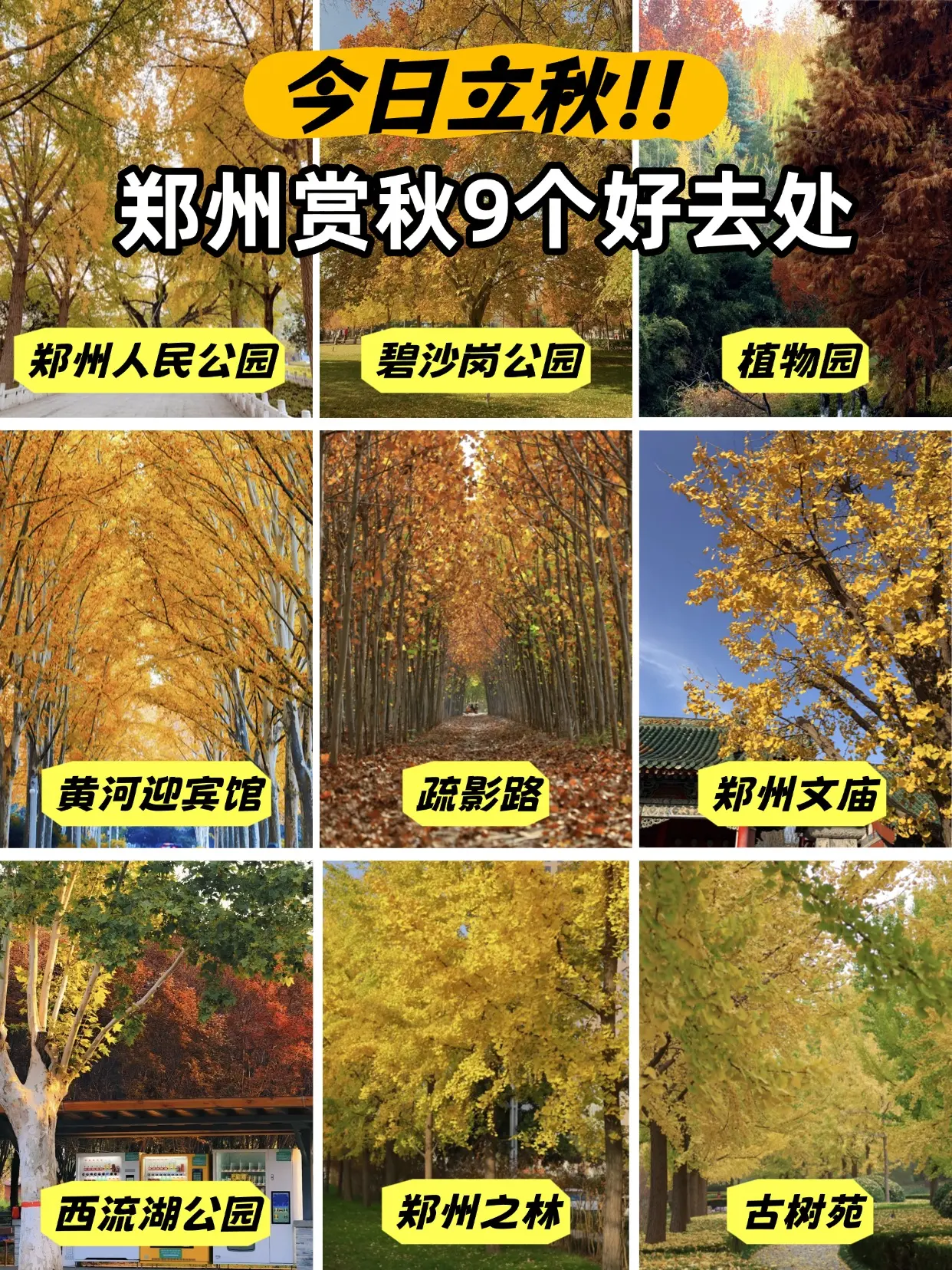 今日立秋！先码住郑州这9个赏秋好去处。