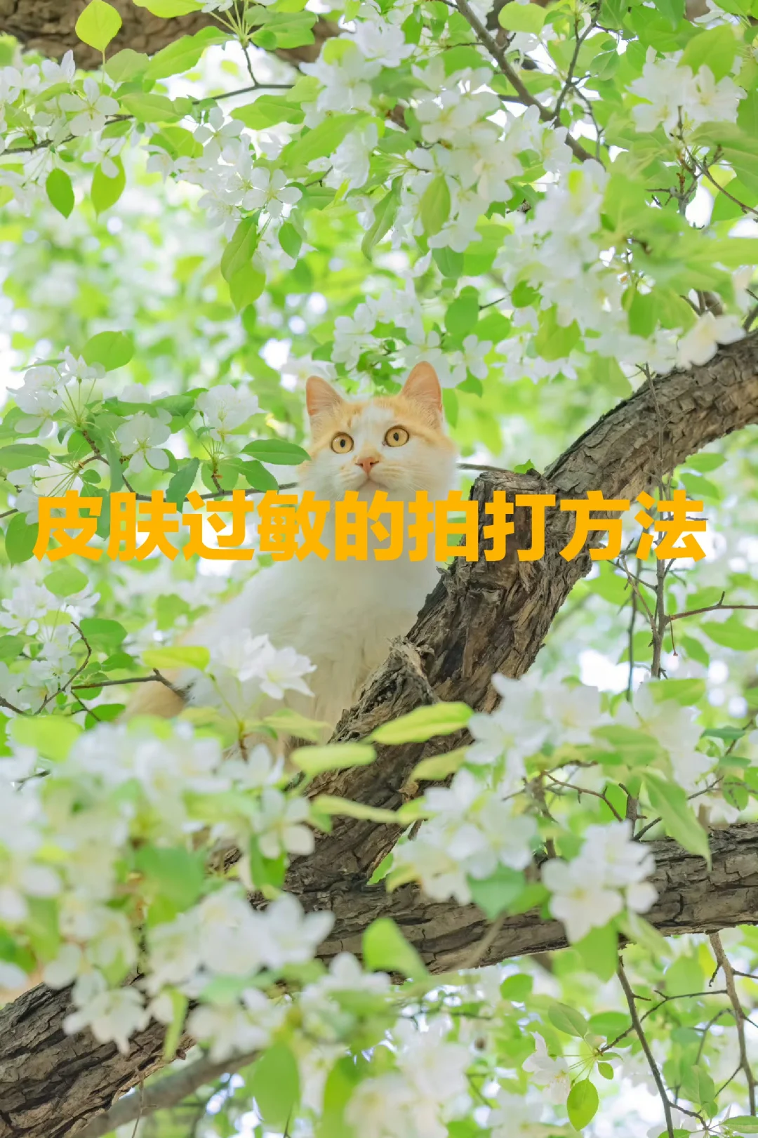 皮肤过敏的拍打方法