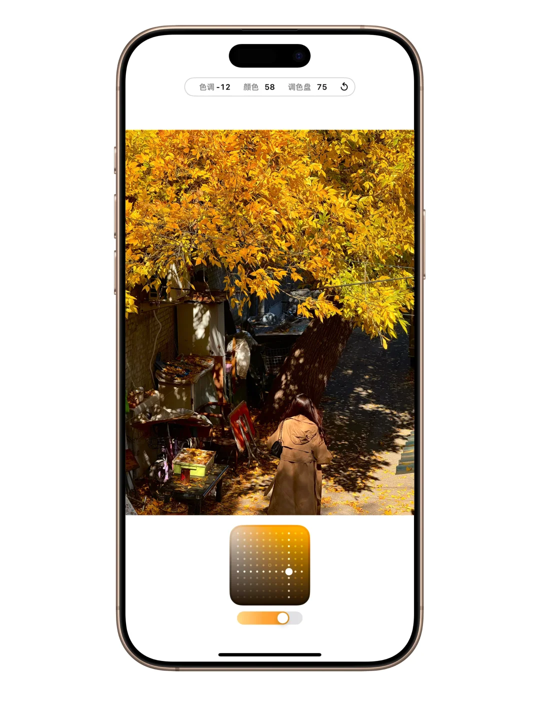 这就是iphone16调色板的意义…