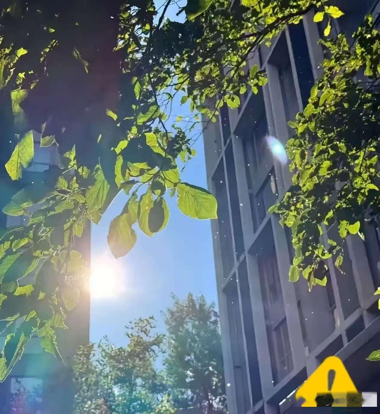 通知大家。
大家要做好准备。
还有12天，也就是8月14日就正式入末伏了。末伏跟