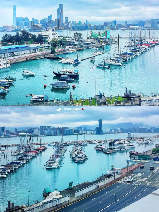 🇭🇰铜锣湾｜维港宠物友好空中花园‼️新开的