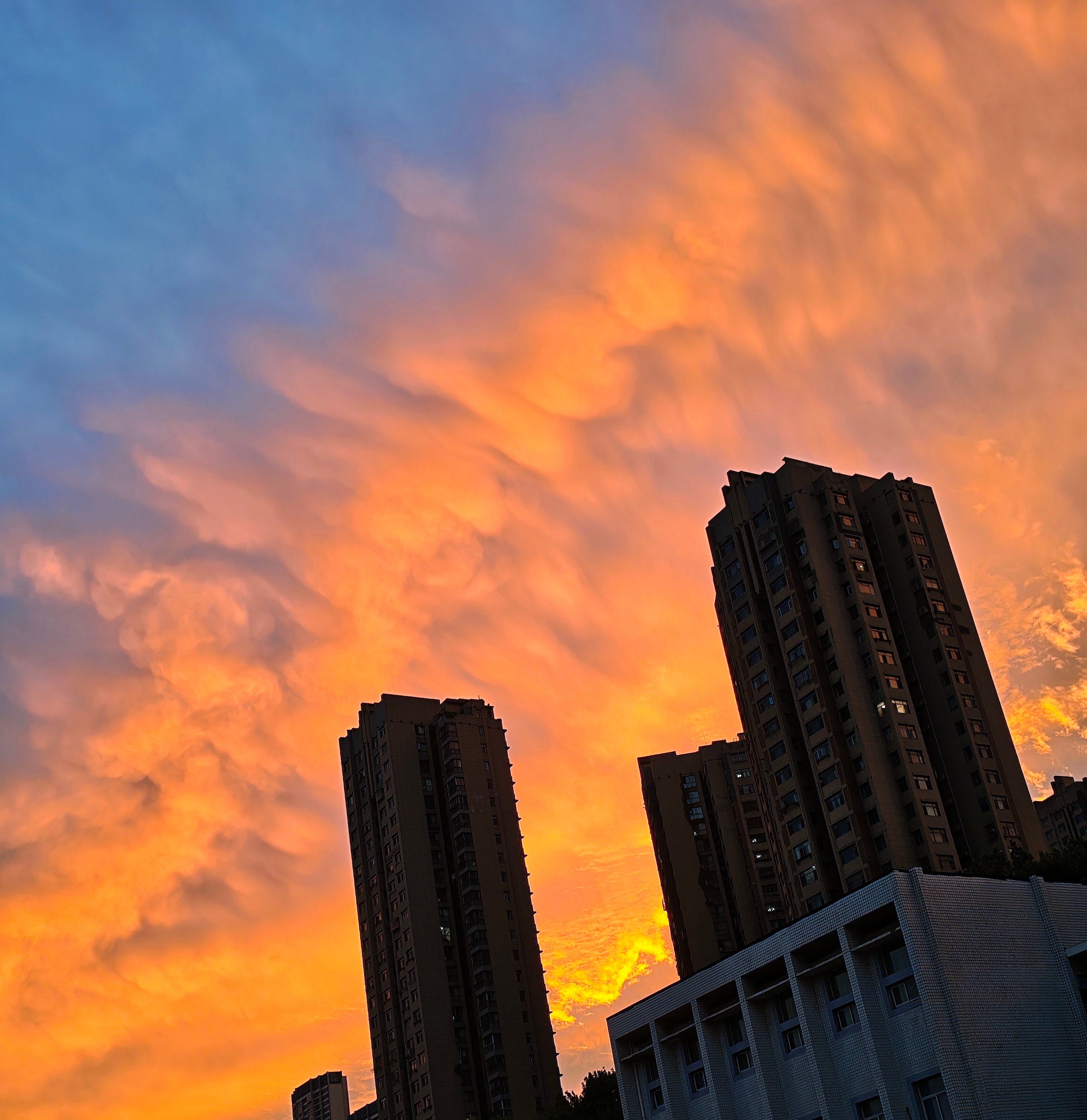 这个点发夕阳是不是不太合适 ​​​