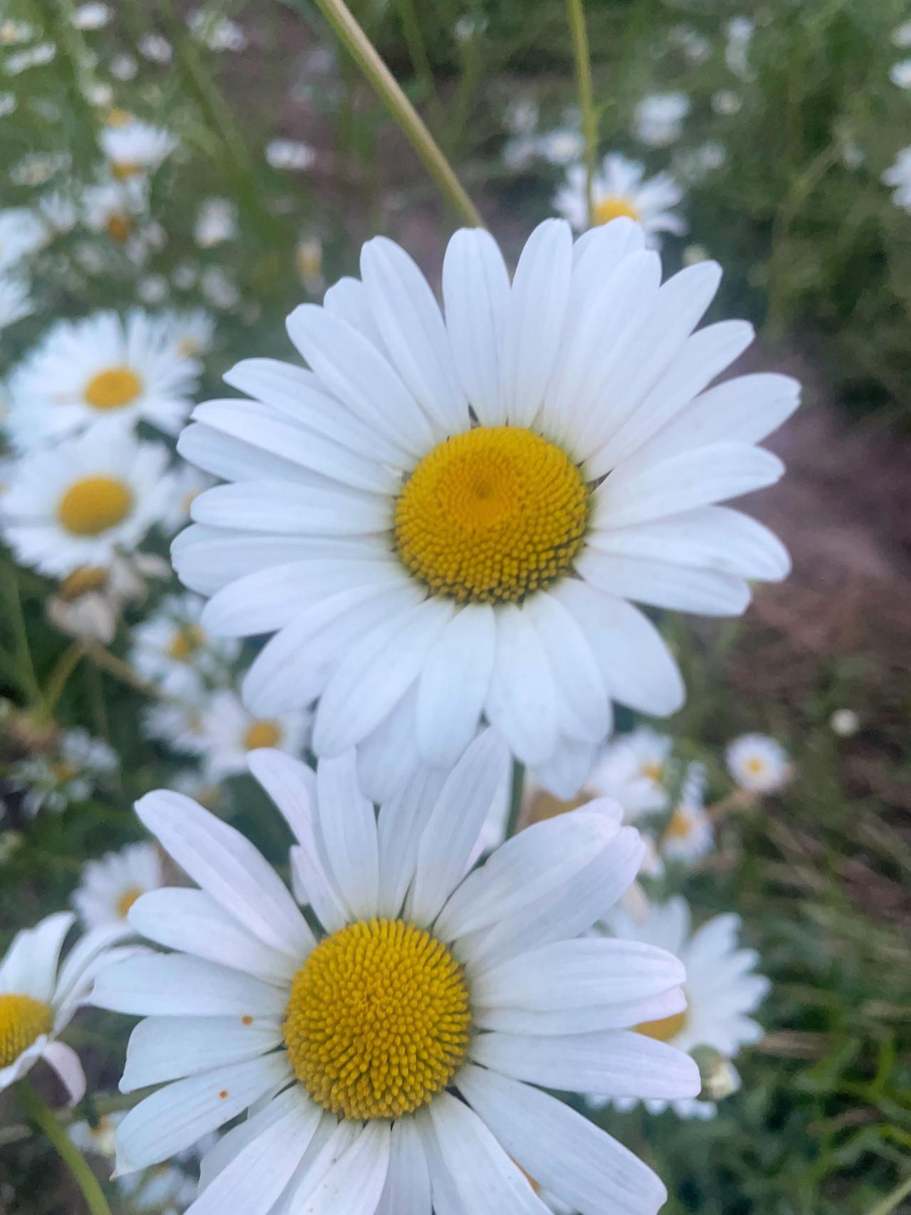 总有人片面觉得，但凡存在称颂的时代，就算不上好时代，这种看法其实太过片面肤浅。