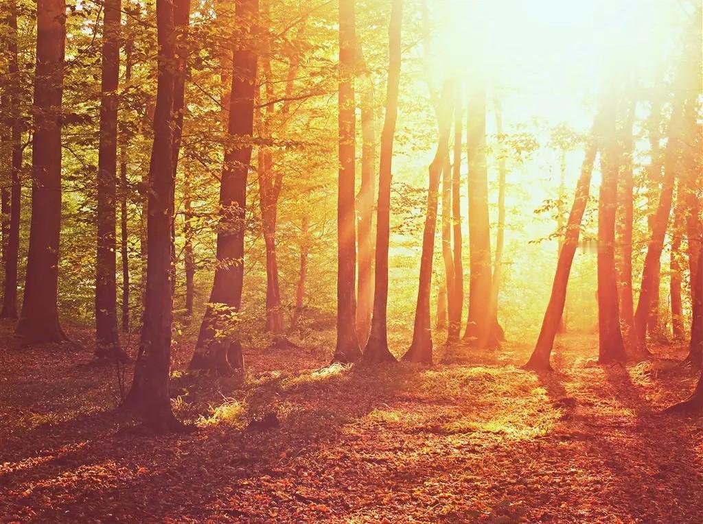 快来看看我新换的主页背景吧