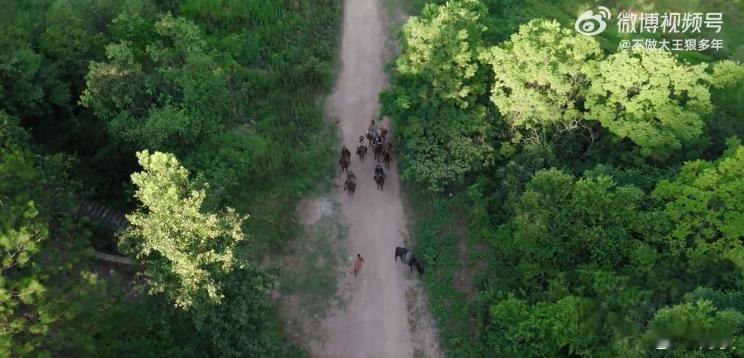 古平原 回家的诱惑谁懂啊！陈晓在大生意人里演的古平原，把回家的诱惑刻进了骨子里，