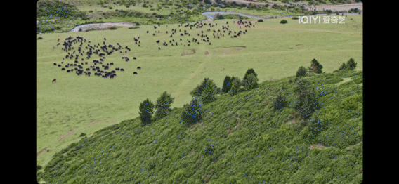张铎说陈松伶庆奶附体 追《恰好去远方2》被陈松伶圈粉！四千多米草原上，她先称没力