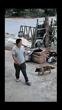 除恶务尽，彻底消灭敢咬人的狗。
