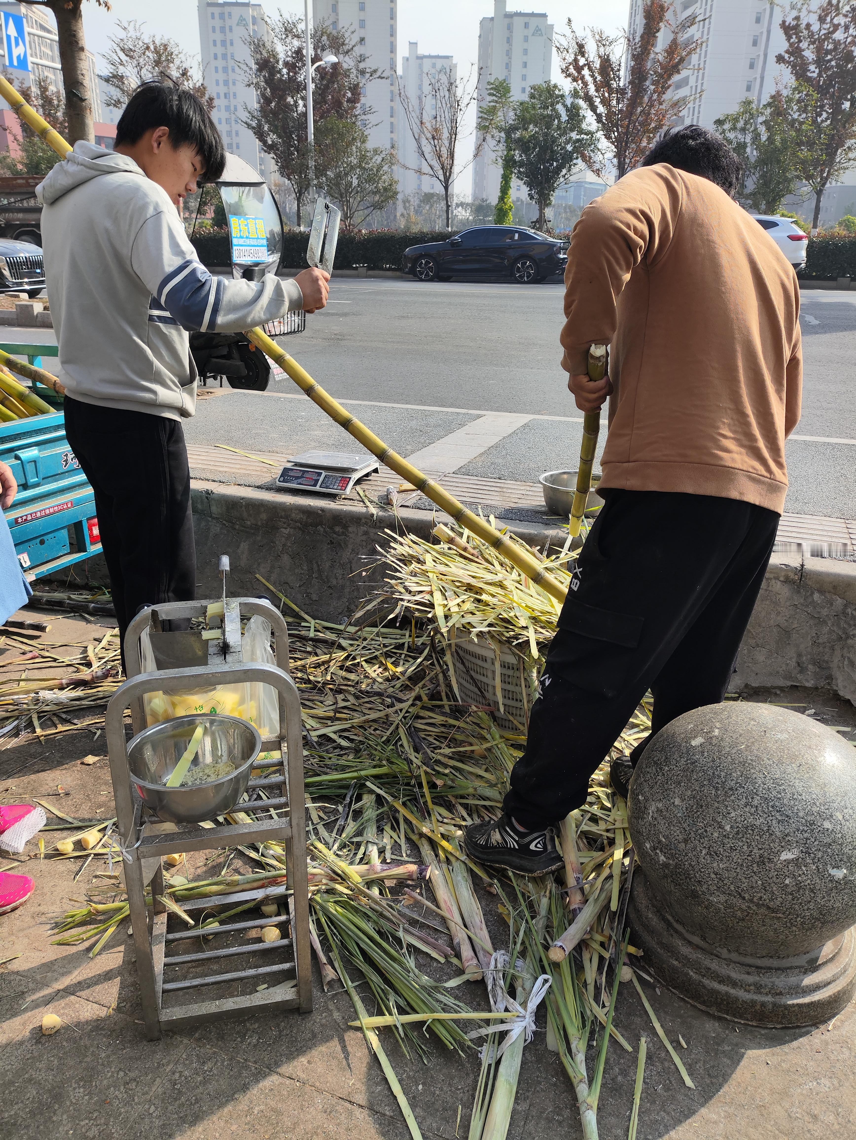 想不通甘蔗有啥好吃的一吃满嘴渣子