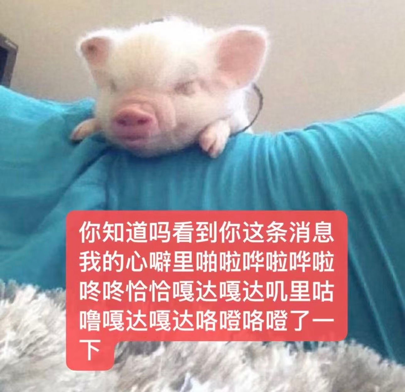 分享图片 