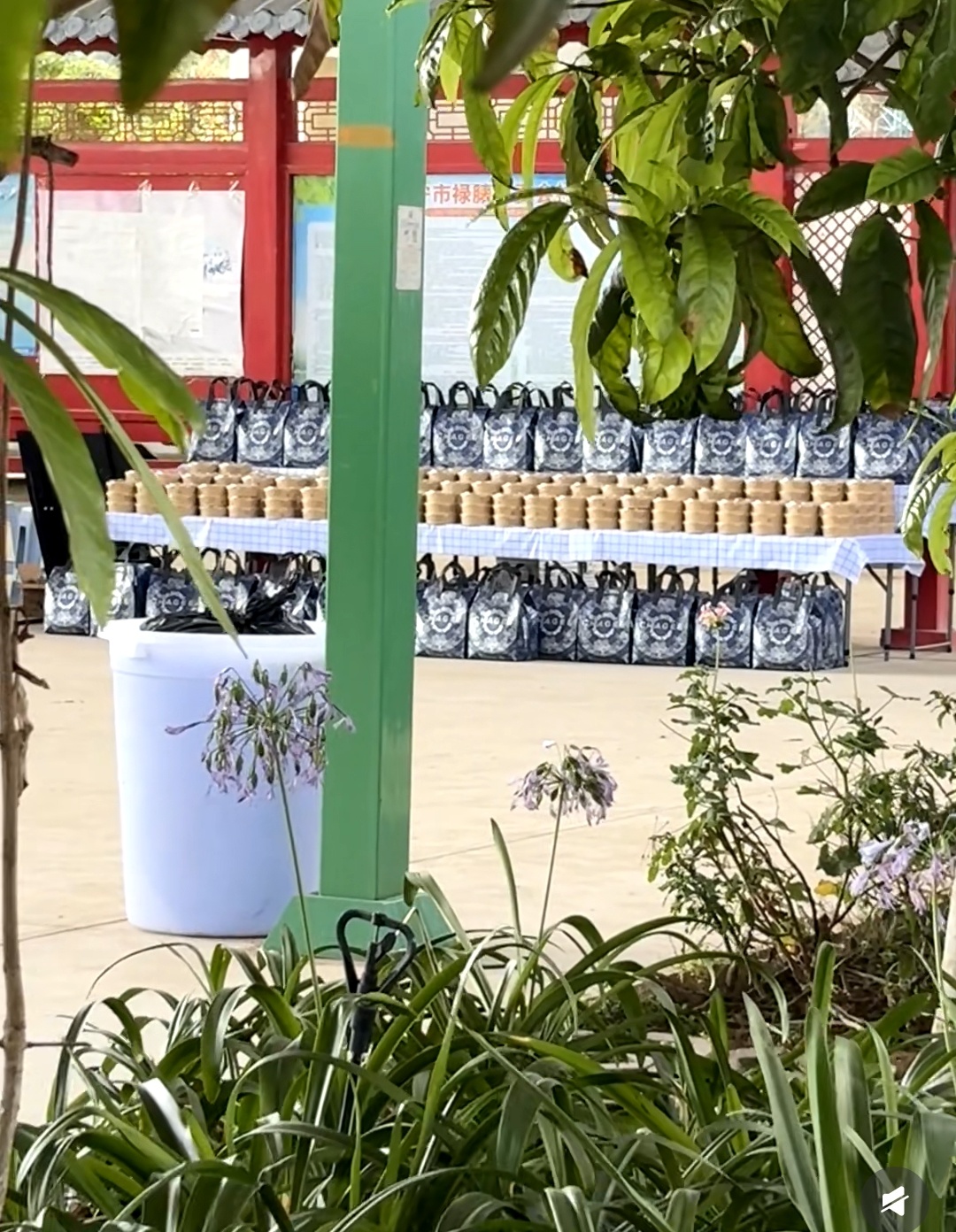 刘宇宁的好朋友地球超新鲜节目组请铁证剧组喝奶茶了祝老大的剧和综艺都爆爆爆