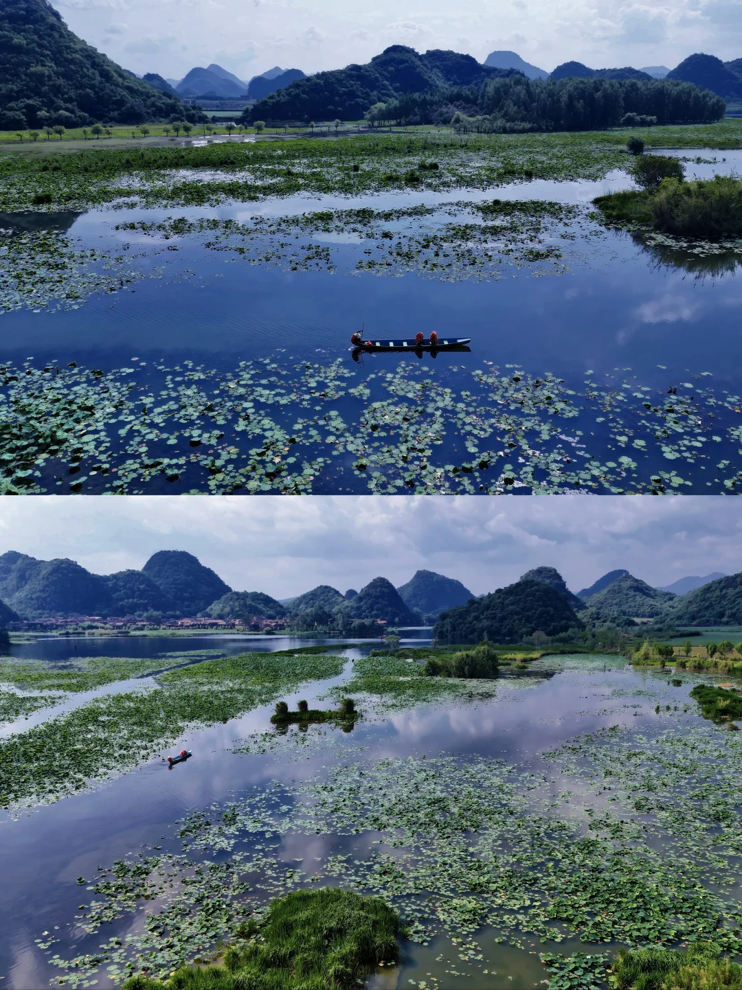 普者黑攻略～夏日荷花开满很震撼！