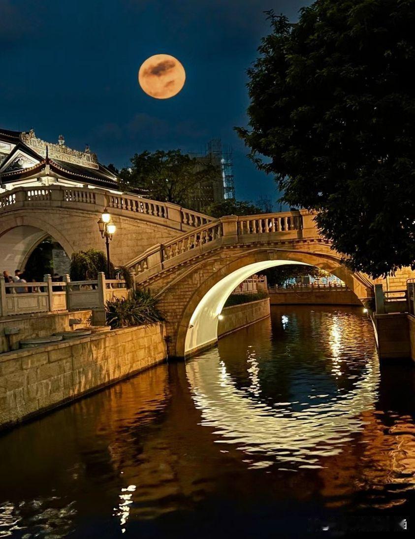 冬日生活打卡季悲伤的心情无以言表，突然的离世让亲人无法接受，但反过来想，也是在睡