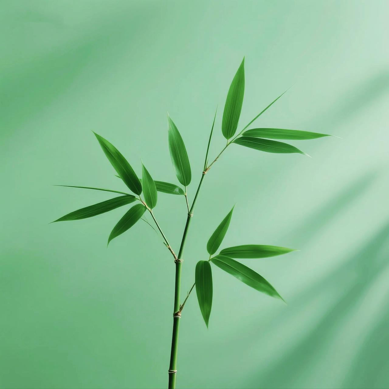 一位百岁老僧曾说：

“今生六亲缘浅的人，其实是修得最好的人。他无债一身轻，心里