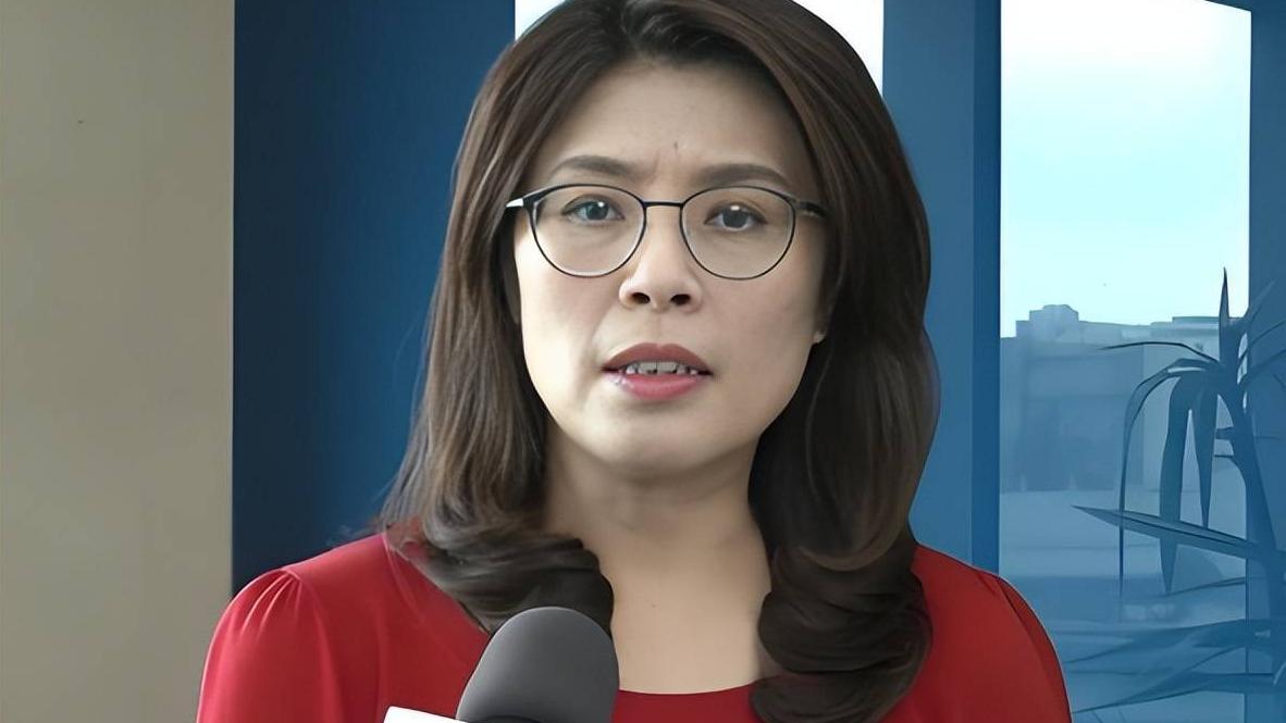 郑丽文与洪秀柱：同属国民党，格局与初心天差地别
 
同样身处国民党，郑丽文与洪秀